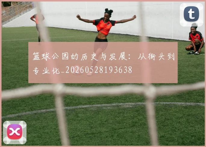 篮球公园的历史与发展：从街头到专业化_20260528193638