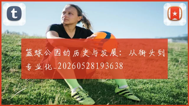 篮球公园的历史与发展：从街头到专业化_20260528193638