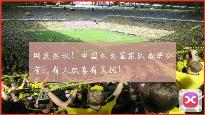 网友热议！中国电竞国家队名单公布，有人欢喜有人忧！
